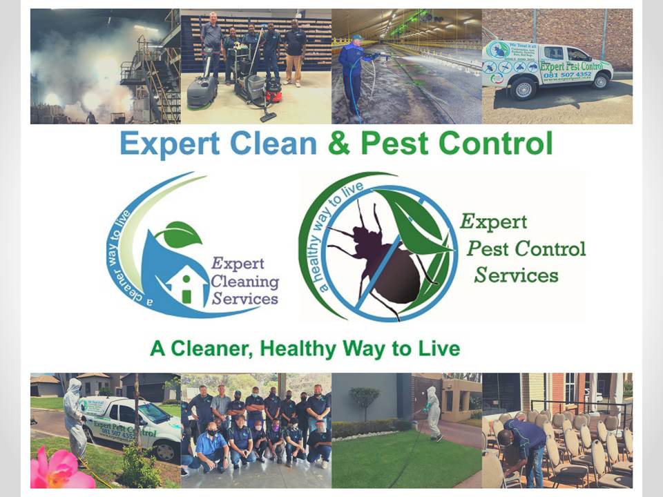 Expert clean and pest control service