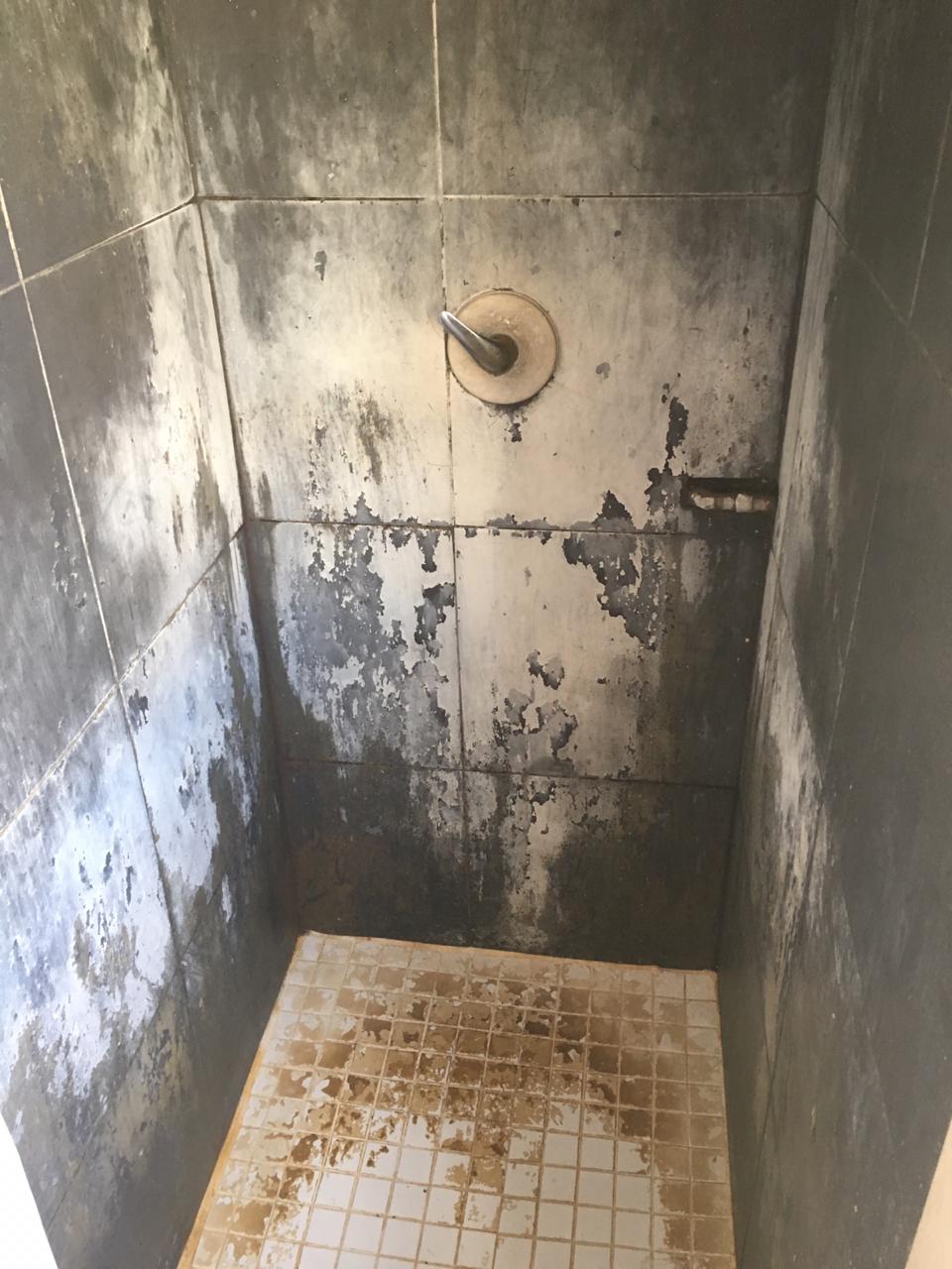 Shower cleaning before and after