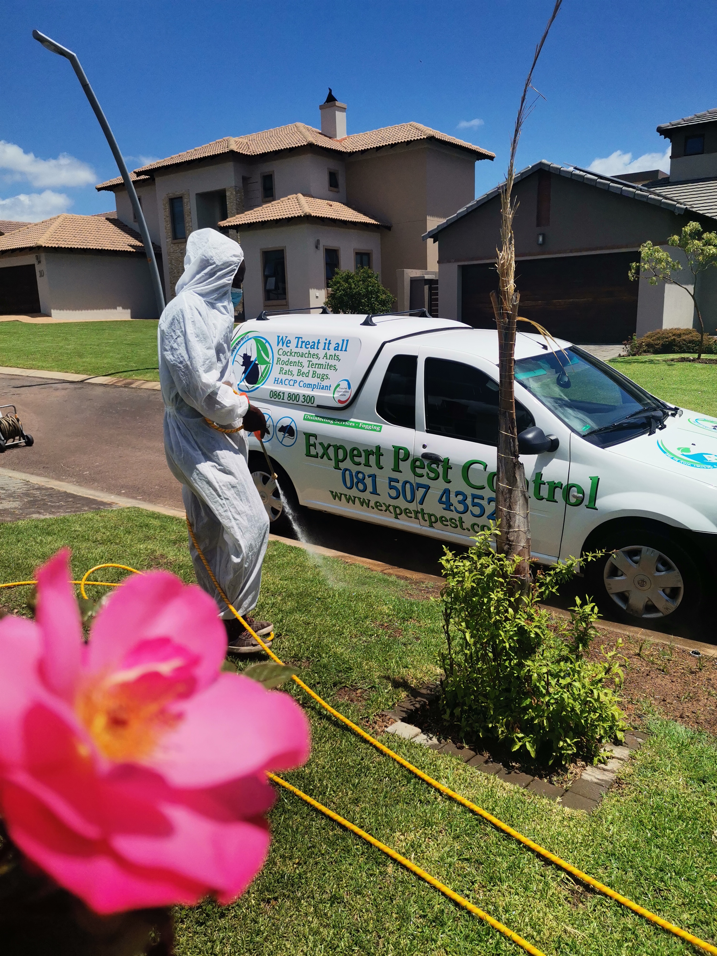 Pest Control Service