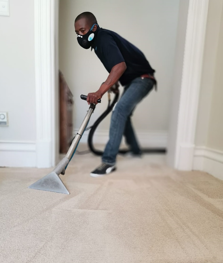 Carpet Cleaning