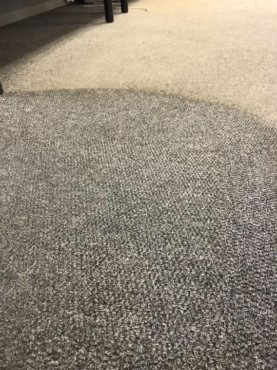 carpet deep cleaning