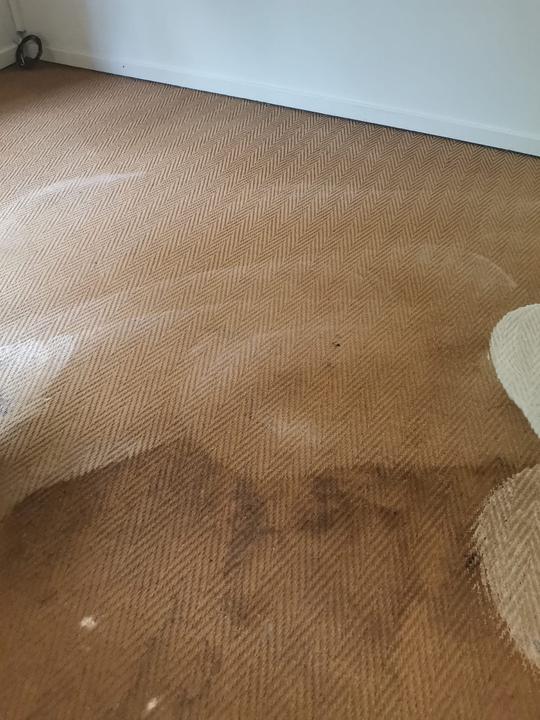 Hard carpet cleaning